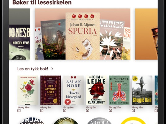skjermdump av framsidebilde av biblio